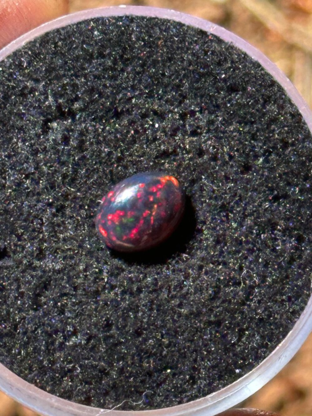 Natural Welo Black Opal *Dragon's Fire*